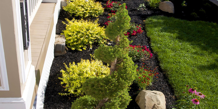 New Landscaping in New Jersey